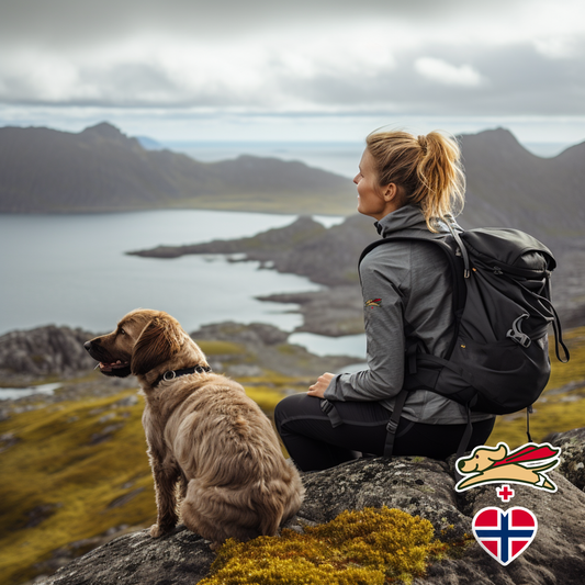 Tips to Keep Your Dog Fit and Injury-Free on the Trail.