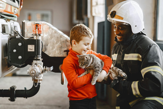 20 Essential Items for Your Pet in Case of a Disaster.