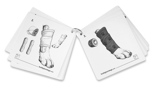 Buddy Bandage førstehjelps manual