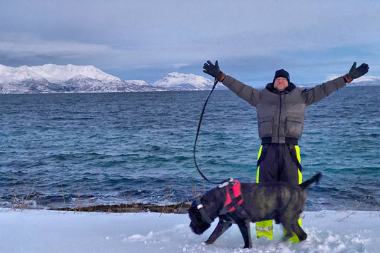 We Drove 1600 km to the Norwegian Arctic with 2 Big Dogs and a Cat. This is How It Went.