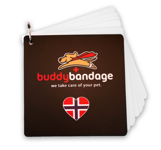 Buddy Bandage førstehjelps manual